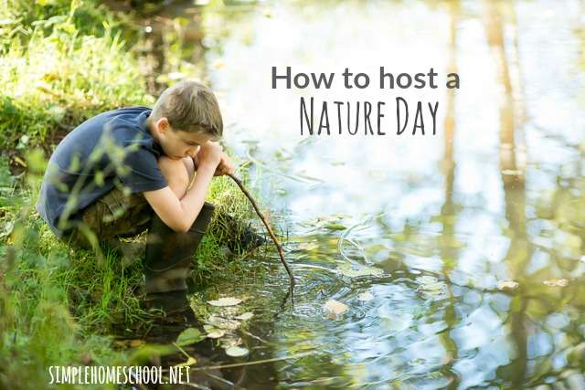 How to host a Nature Day