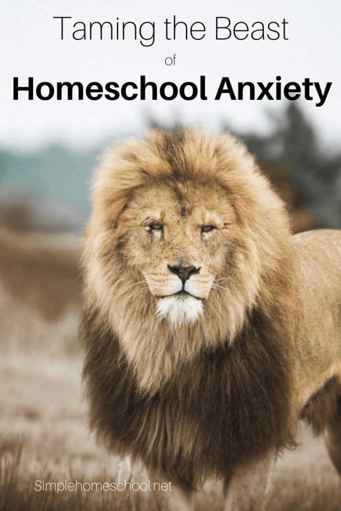 Homeschool Anxiety