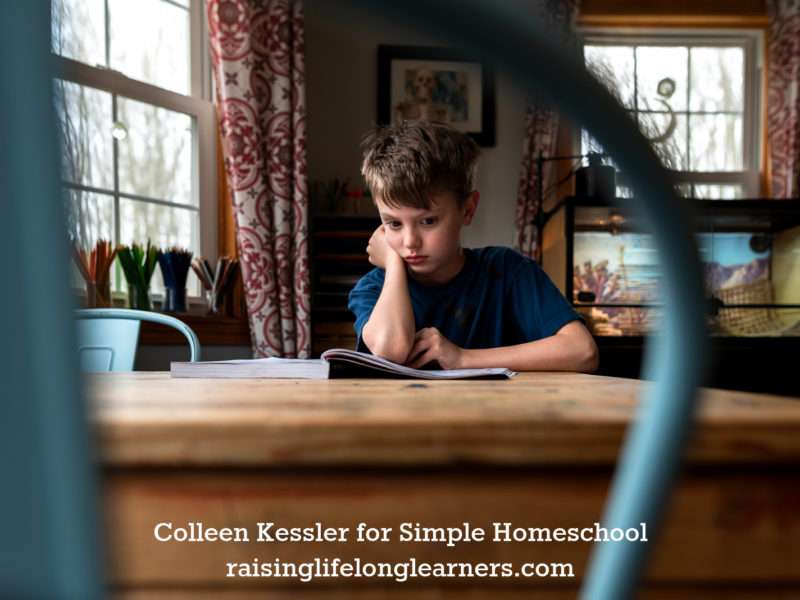 Colleen's Homeschool Day