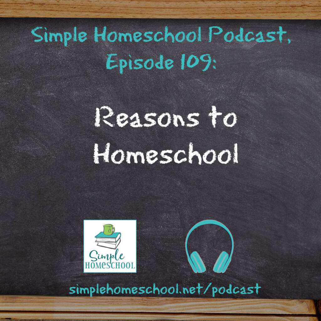 reasons to homeschool