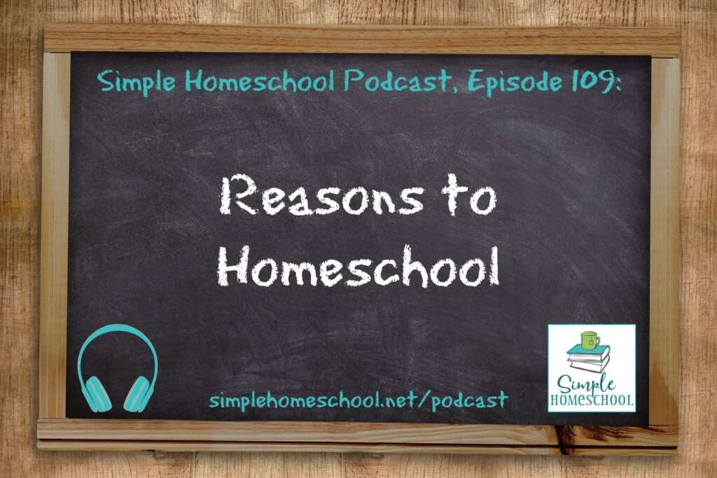 reasons to homeschool